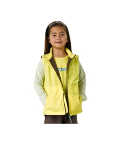 Brownies gilet, Brownies