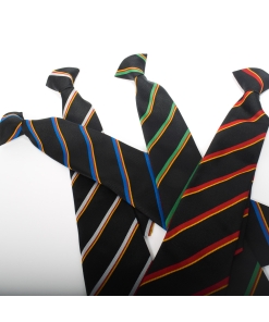 Thomas Hardye Year Ties (Compulsory), The Thomas Hardye School