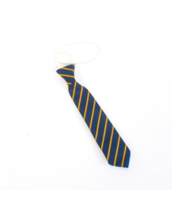 St Augustines School Ties, St. Augustines Catholic Primary School