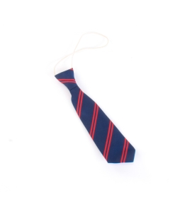 Conifers School Ties, Conifers Primary School