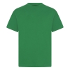 Plain House T-Shirts (Twin Pack), Conifers Primary School, Southill Primary School, Wyke Regis Primary Federation, Generic Schoolwear, T-Shirts & Polos