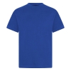 Plain House T-Shirts (Twin Pack), Conifers Primary School, Southill Primary School, Wyke Regis Primary Federation, Generic Schoolwear, T-Shirts & Polos