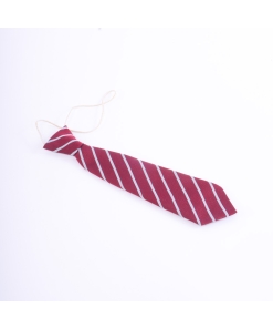 Chickerell School Ties (Compulsory), Chickerell Primary Academy